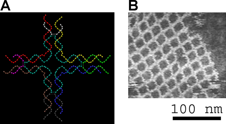 DNA Origami â€” Designed Nanostructures