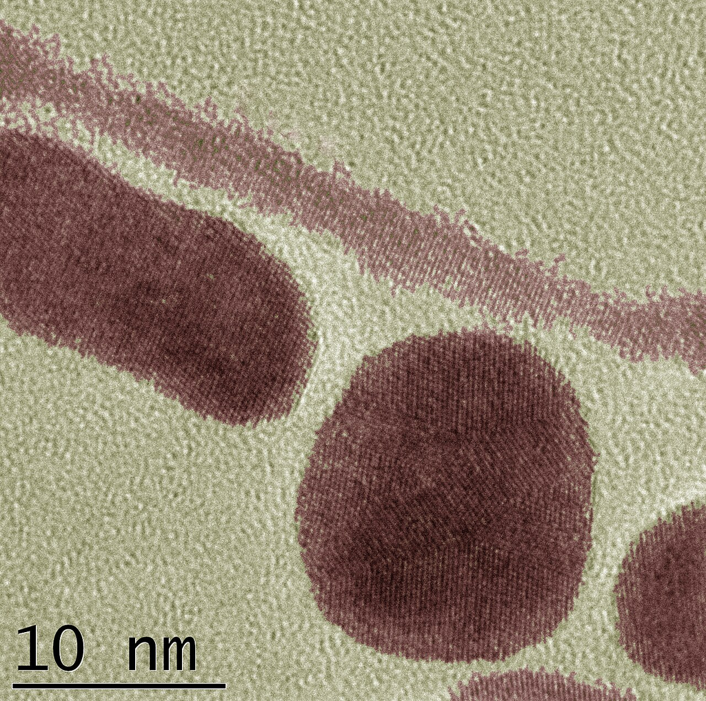 Gold Nanoparticles and Nanorods â€” TEM