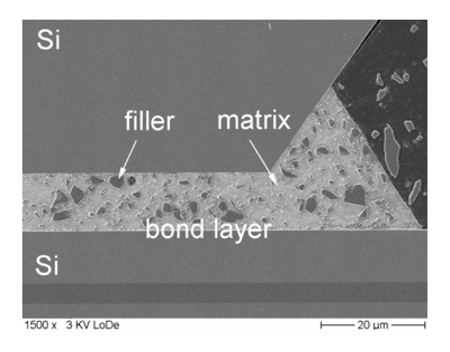 Silicon Wafer Cross-Section — Deep Reactive Ion Etch (Bosch Process)